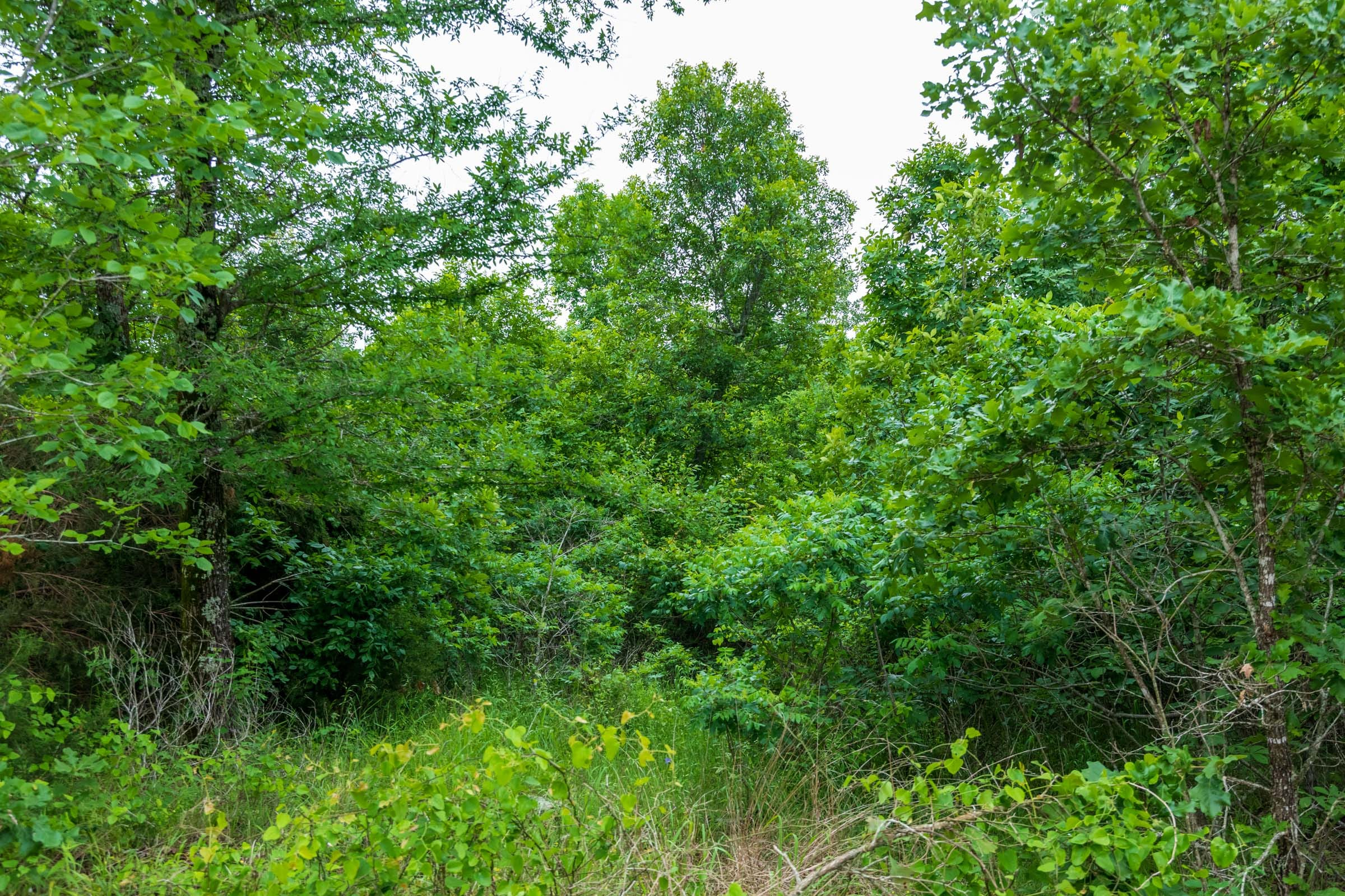 Tract 10 at Falcon Crest in Pushmataha County, Oklahoma