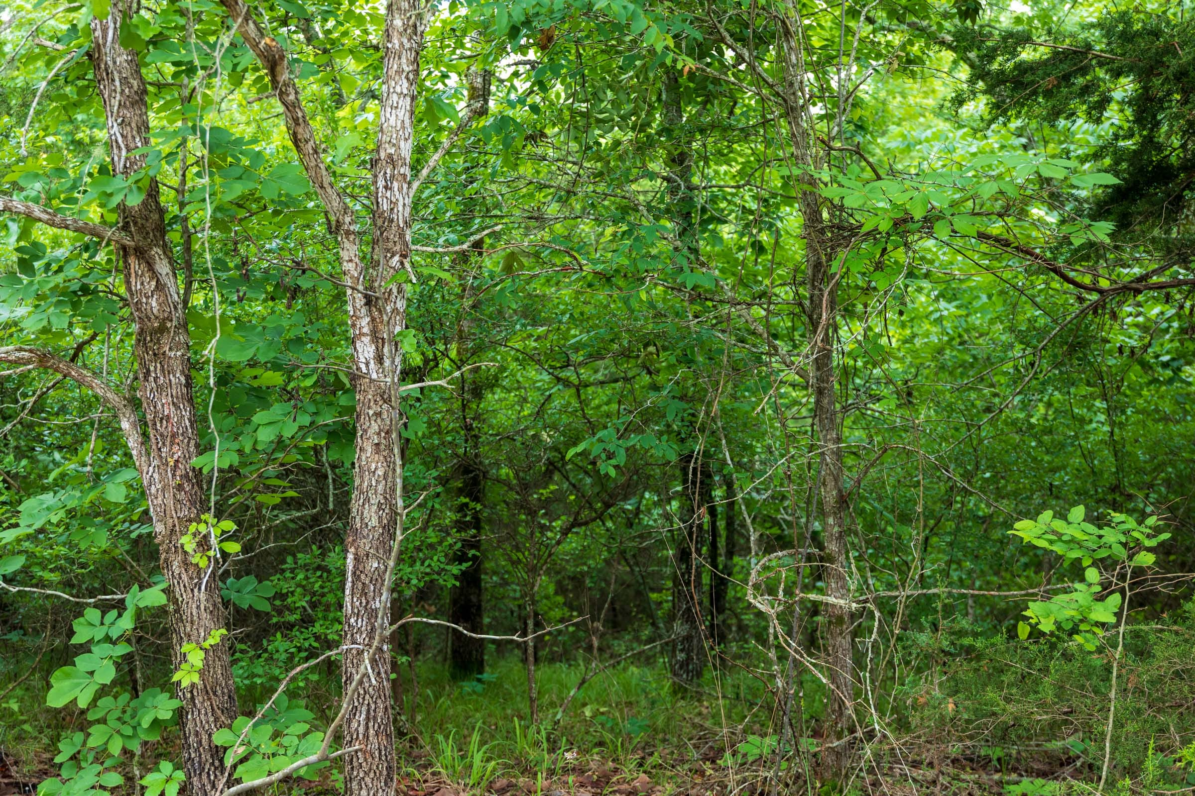 Tract 11 at Falcon Crest in Pushmataha County, Oklahoma