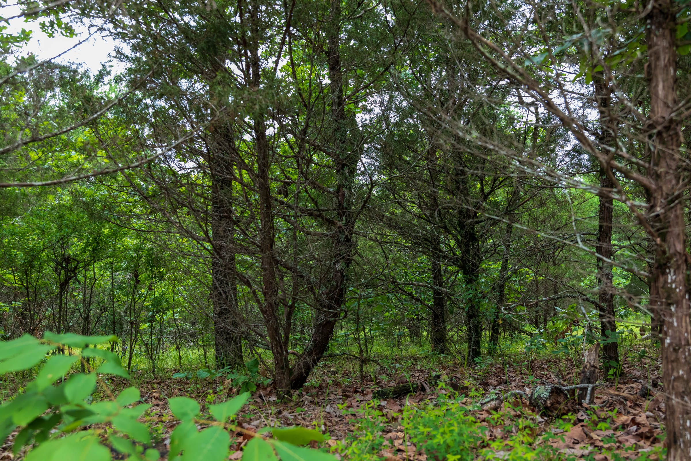 Tract 13 at Falcon Crest in Pushmataha County, Oklahoma