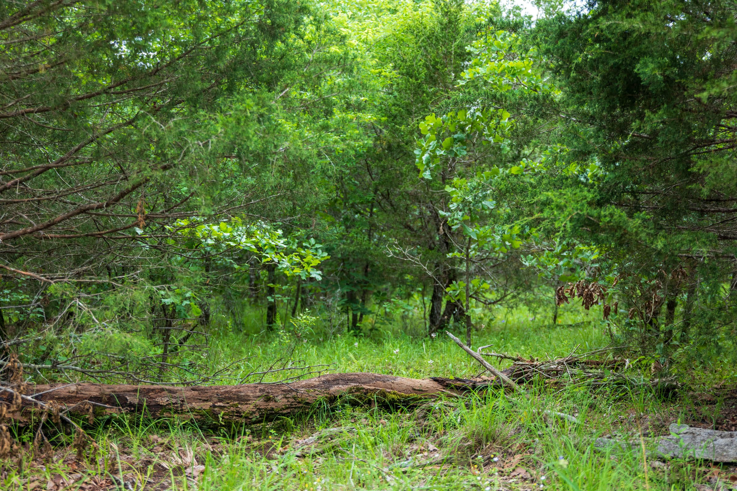 Tract 15 at Falcon Crest in Pushmataha County, Oklahoma