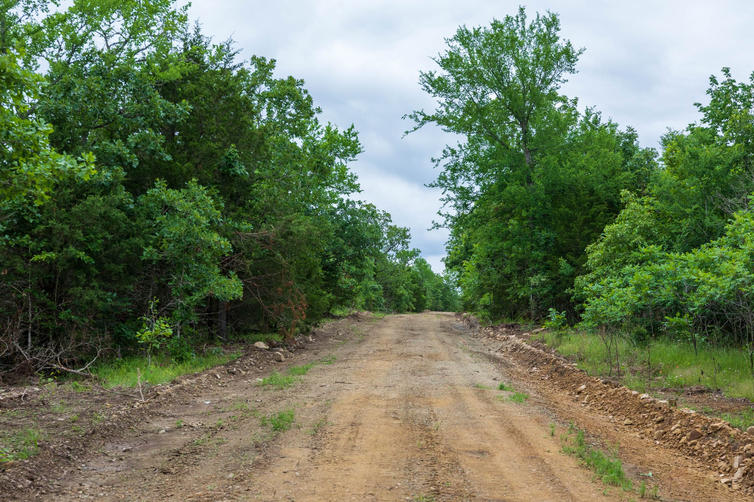 FLC-T15 tract image