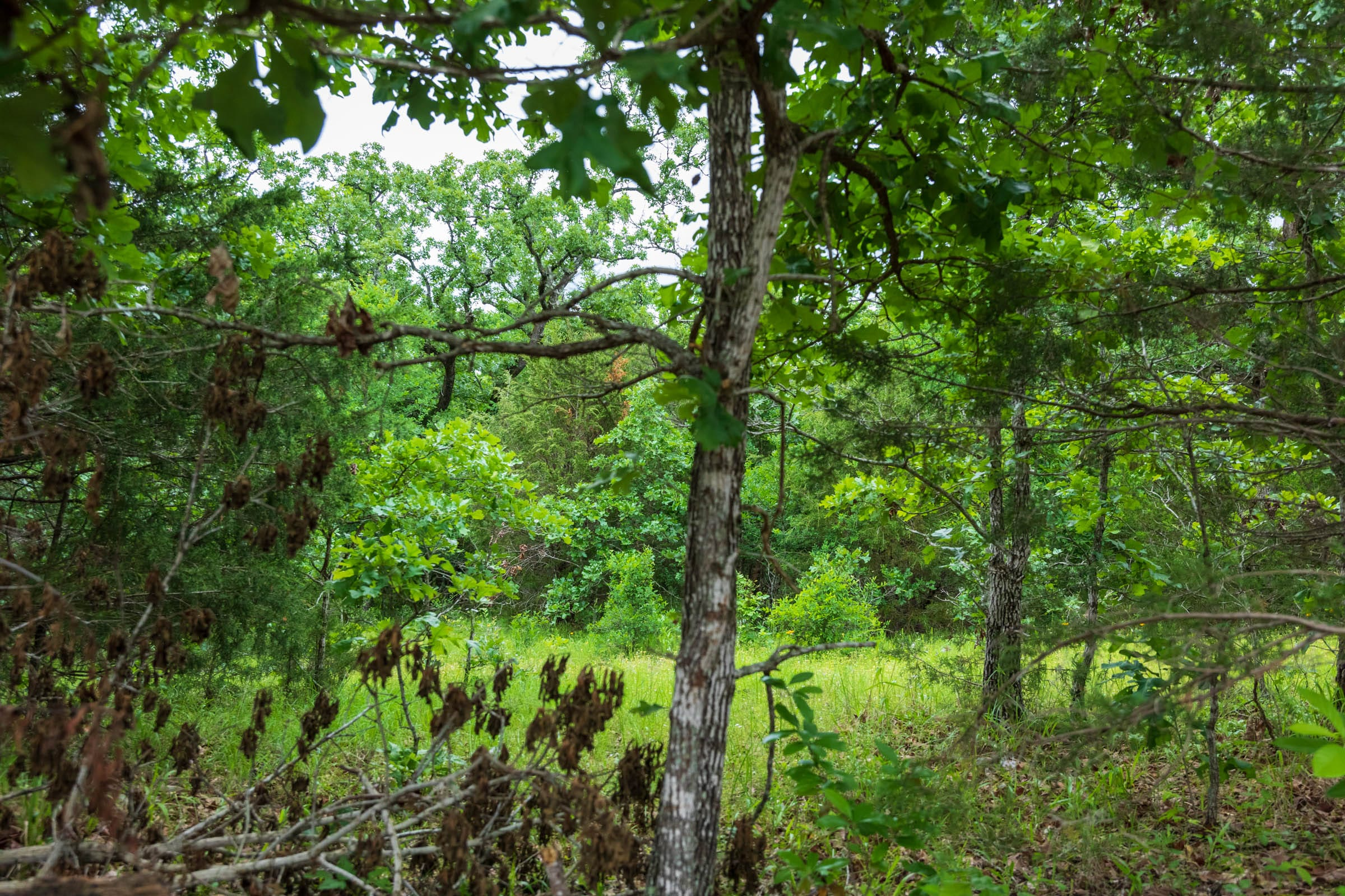 Tract 16 at Falcon Crest in Pushmataha County, Oklahoma