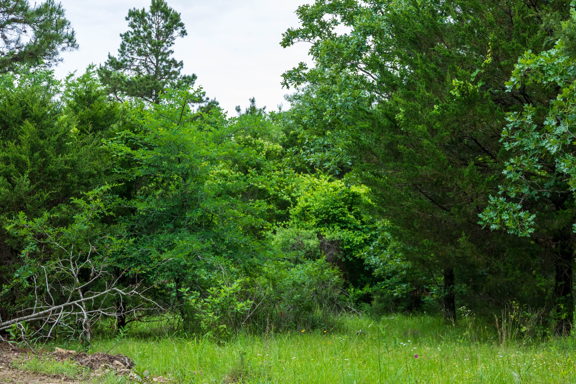 Tract 17 at Falcon Crest in Pushmataha County, Oklahoma