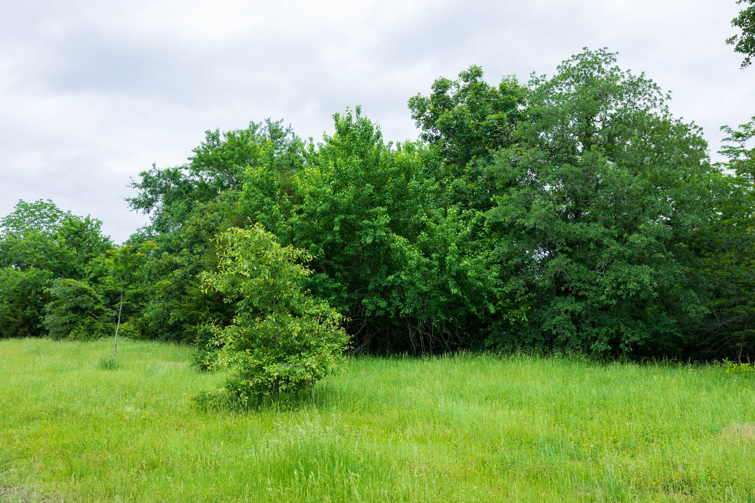 Tract 18 at Falcon Crest in Pushmataha County, Oklahoma