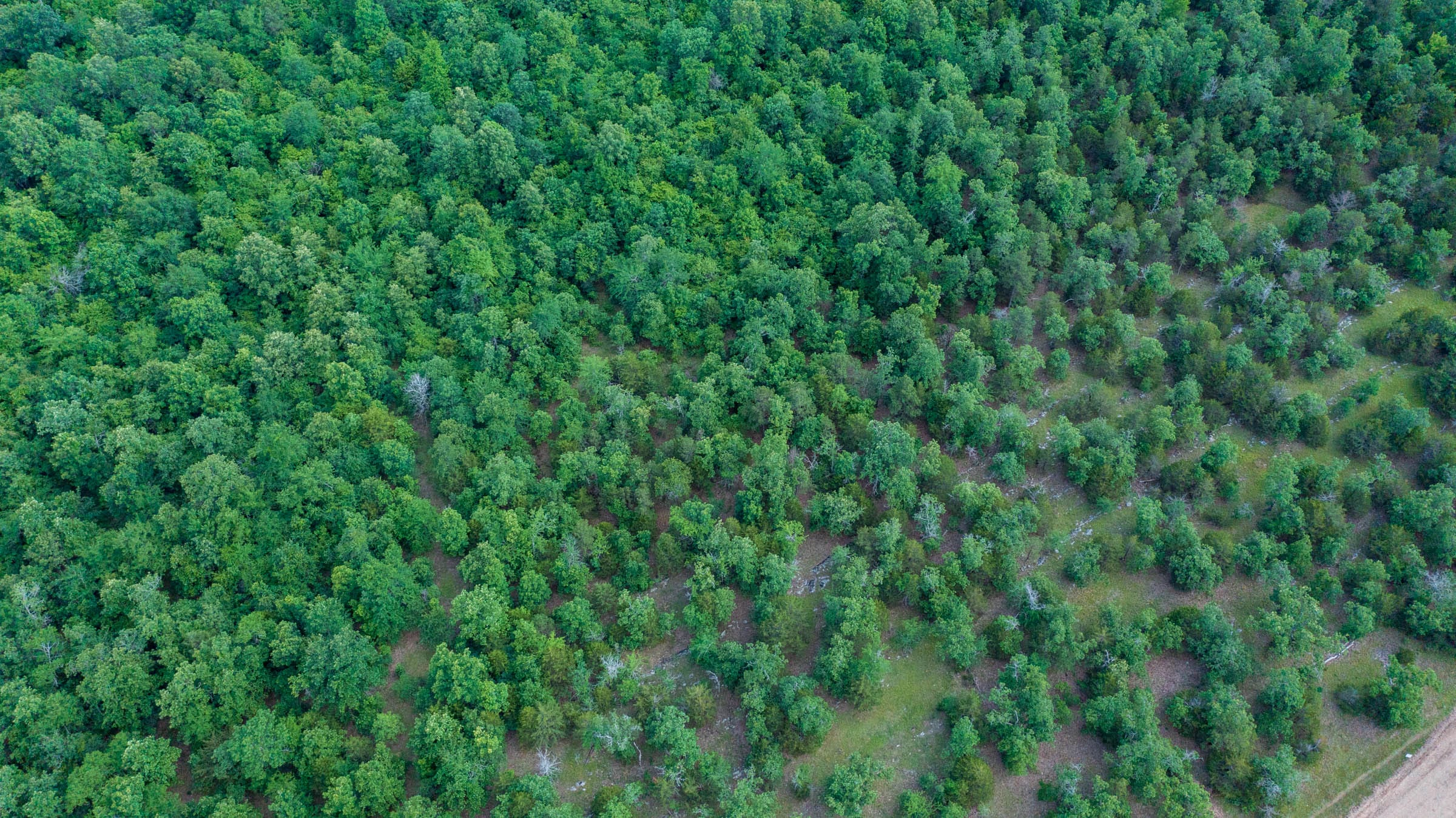 Tract 20 at Falcon Crest in Pushmataha County, Oklahoma