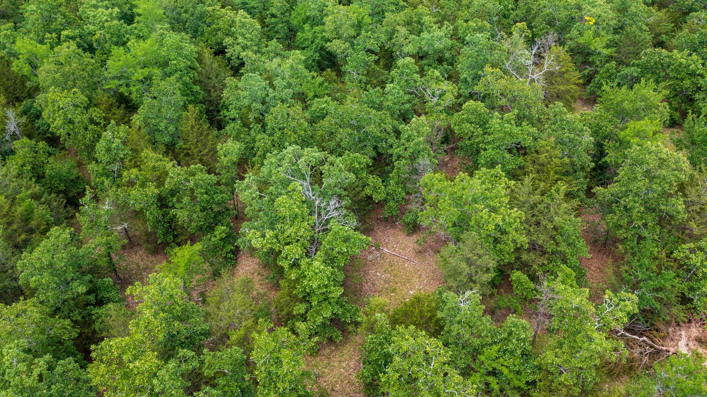Tract 21 at Falcon Crest in Pushmataha County, Oklahoma