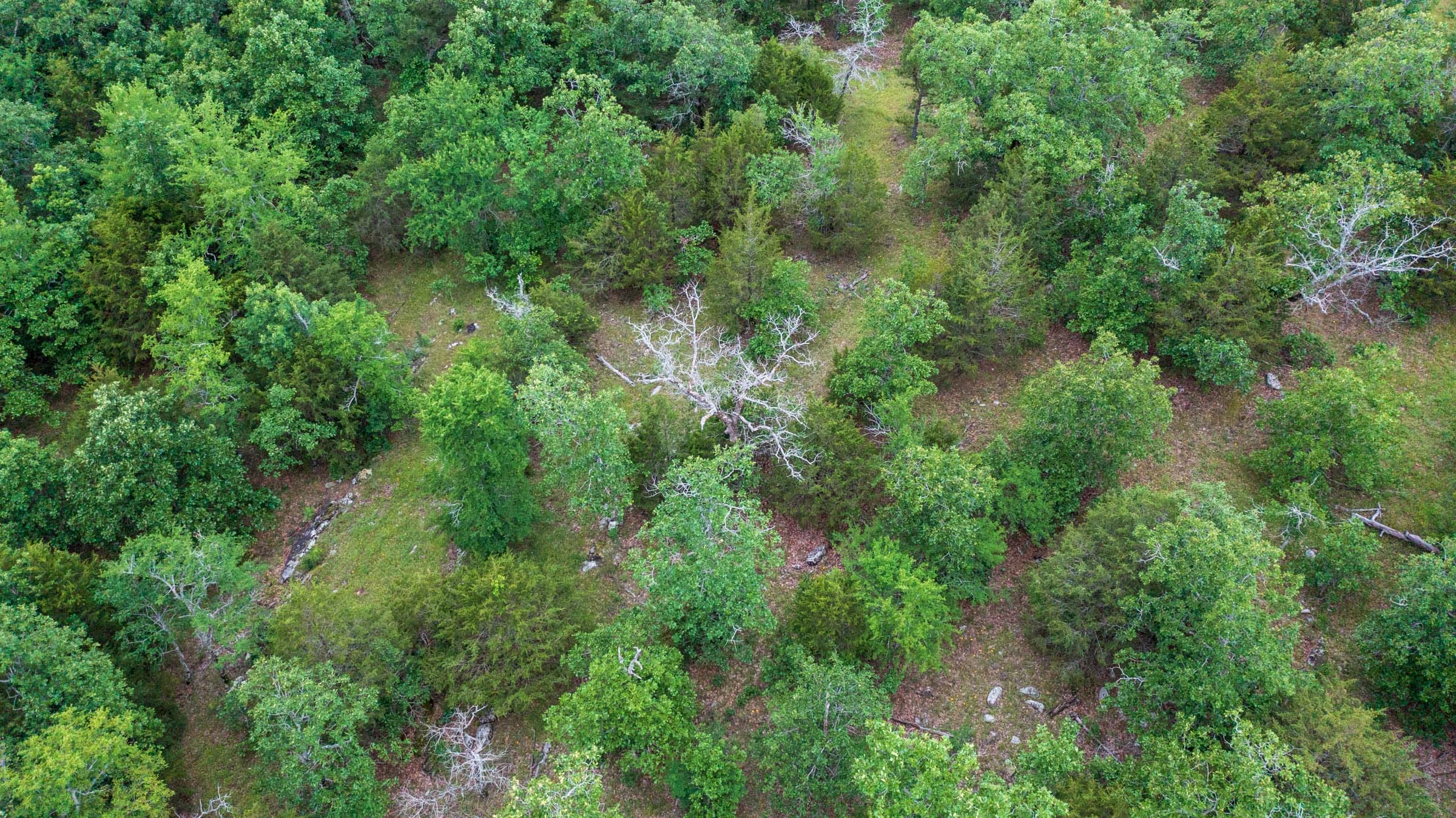 Tract 28 at Falcon Crest in Pushmataha County, Oklahoma