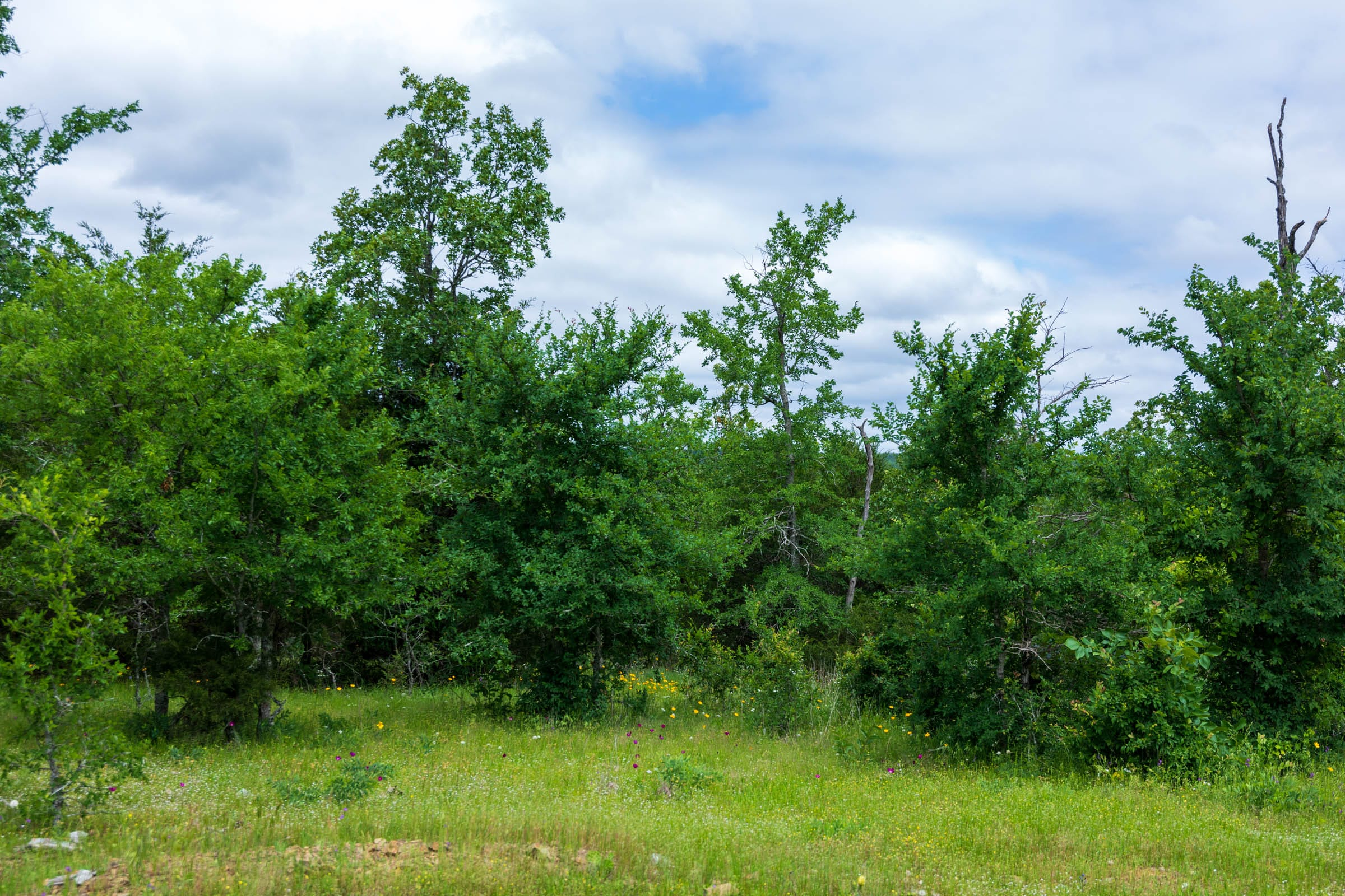 Tract 29 at Falcon Crest in Pushmataha County, Oklahoma