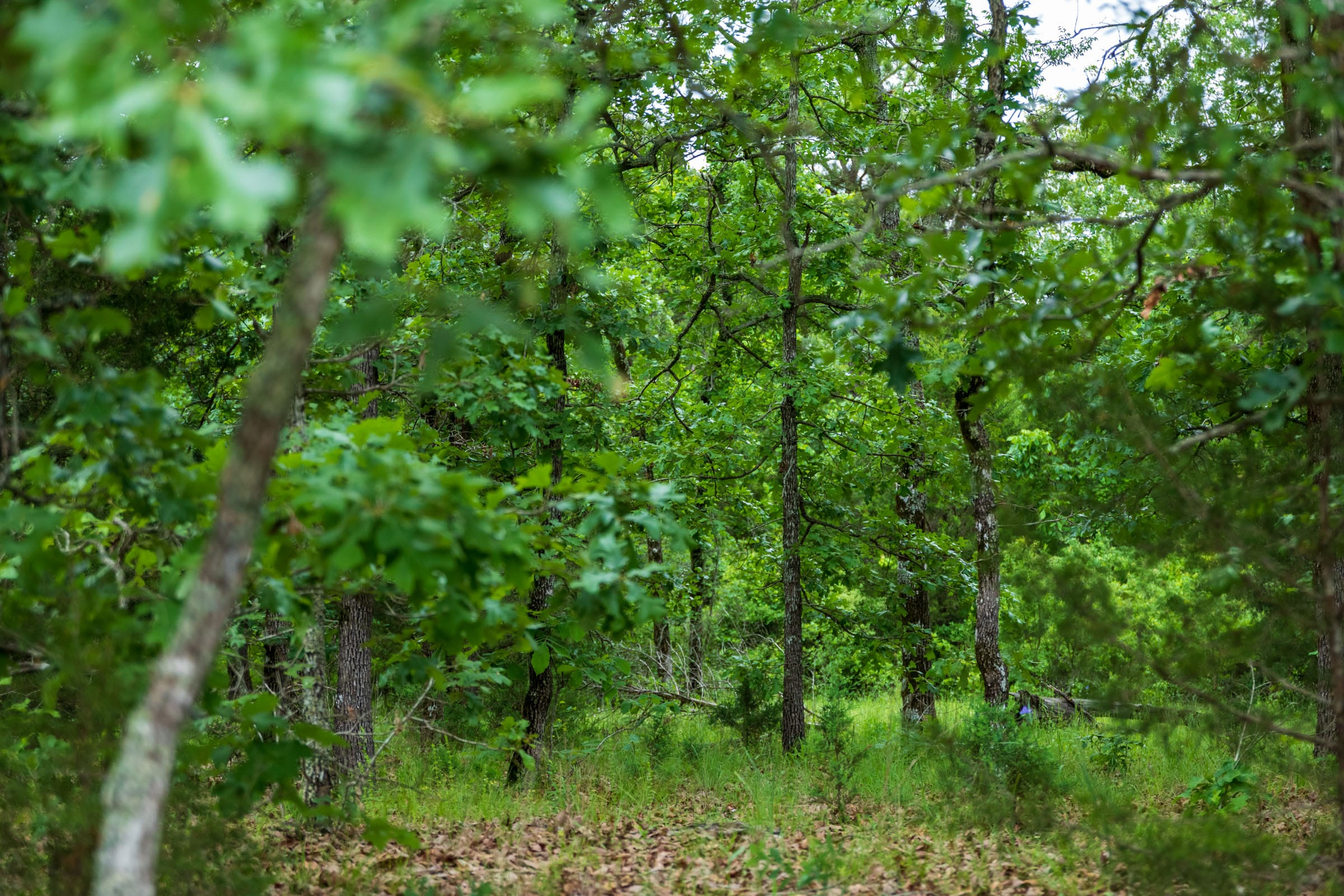 Tract 3 at Falcon Crest in Pushmataha County, Oklahoma