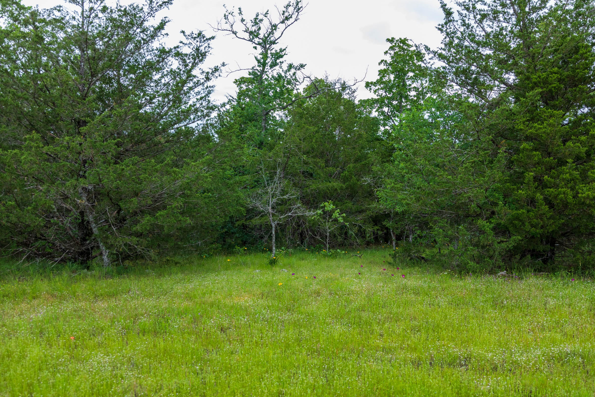 Tract 31 at Falcon Crest in Pushmataha County, Oklahoma