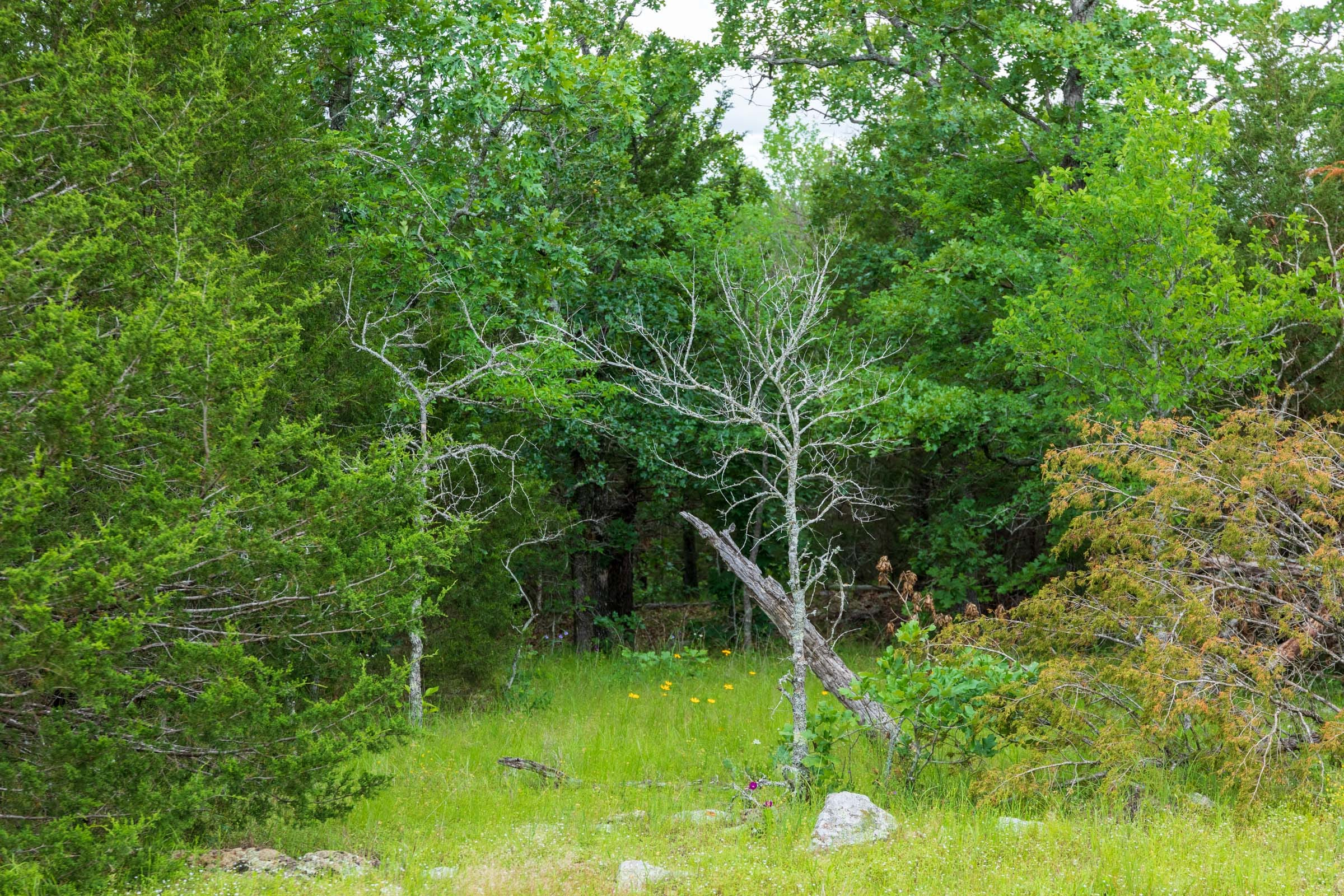 Tract 32 at Falcon Crest in Pushmataha County, Oklahoma