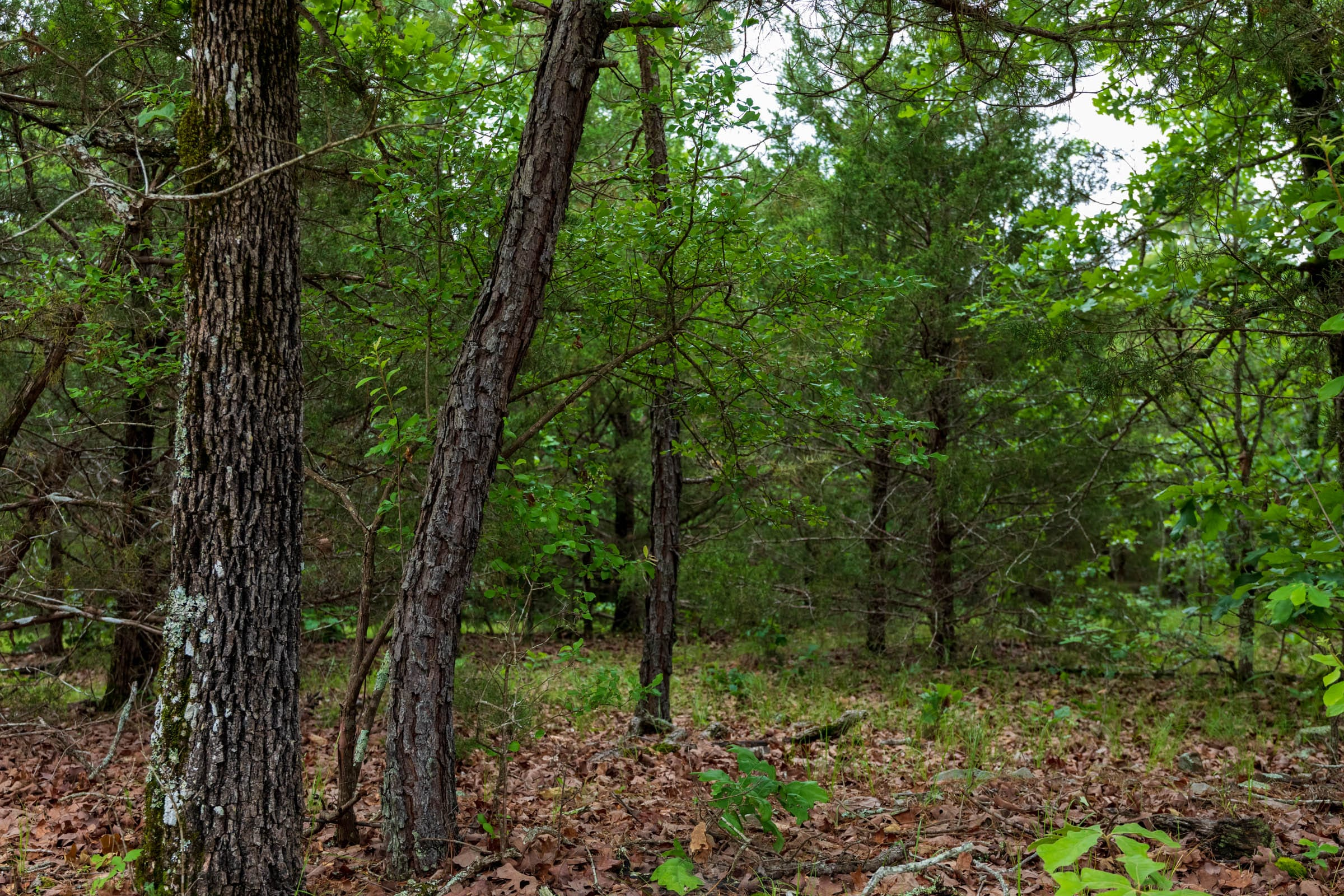 Tract 4 at Falcon Crest in Pushmataha County, Oklahoma