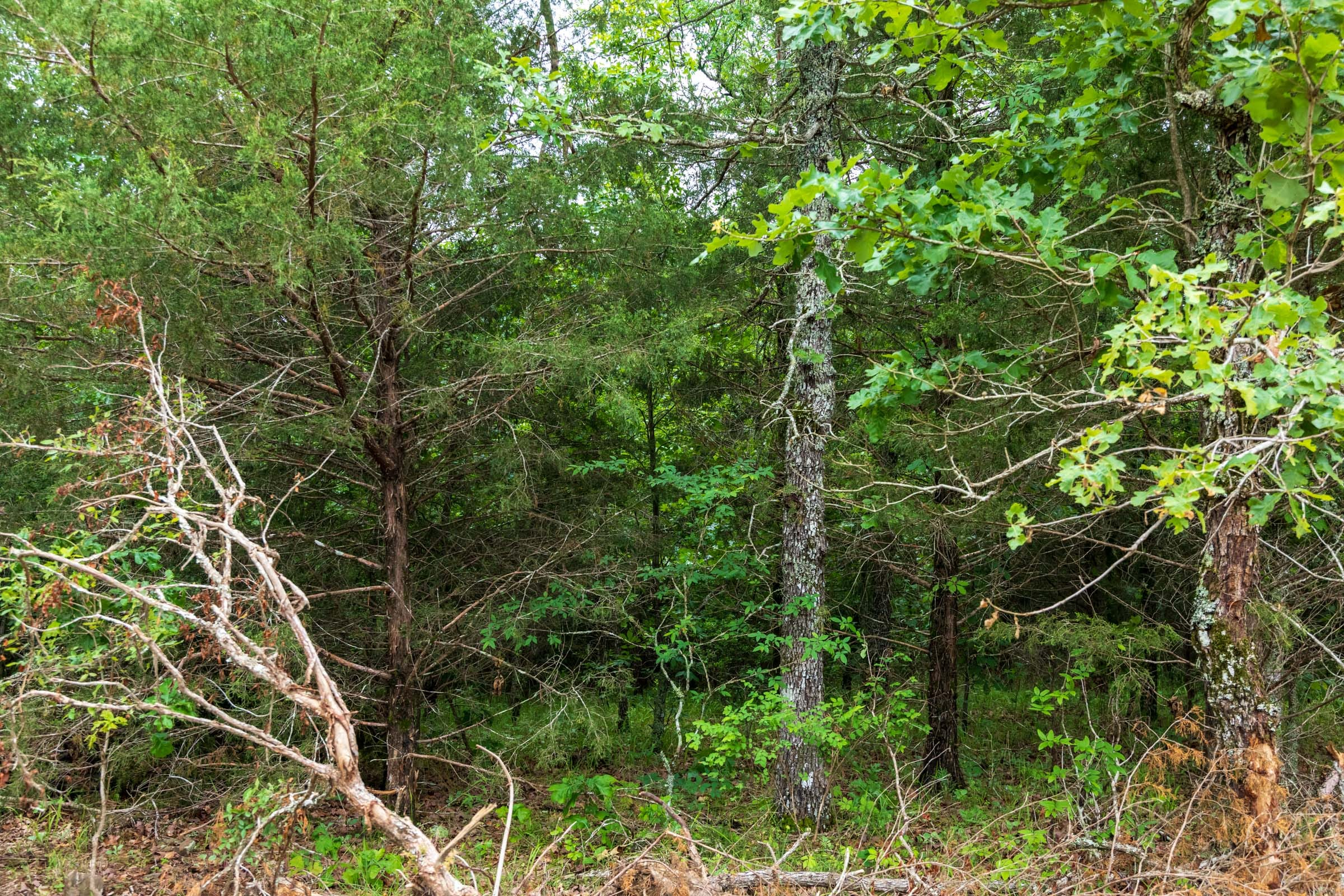 Tract 5 at Falcon Crest in Pushmataha County, Oklahoma