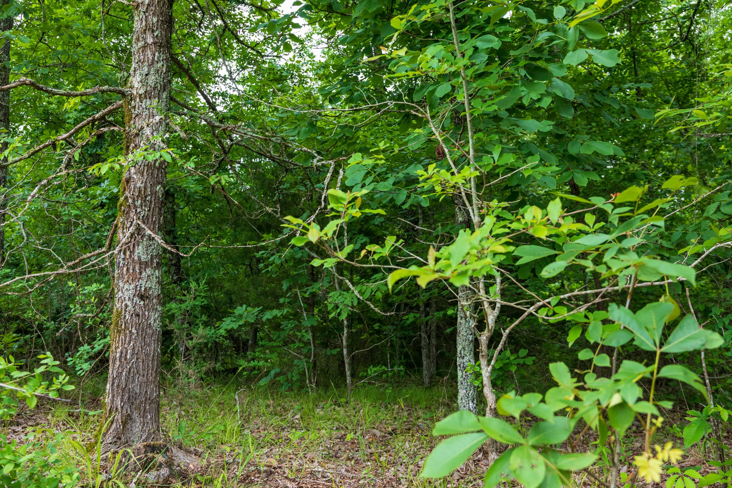 Tract 7 at Falcon Crest in Pushmataha County, Oklahoma