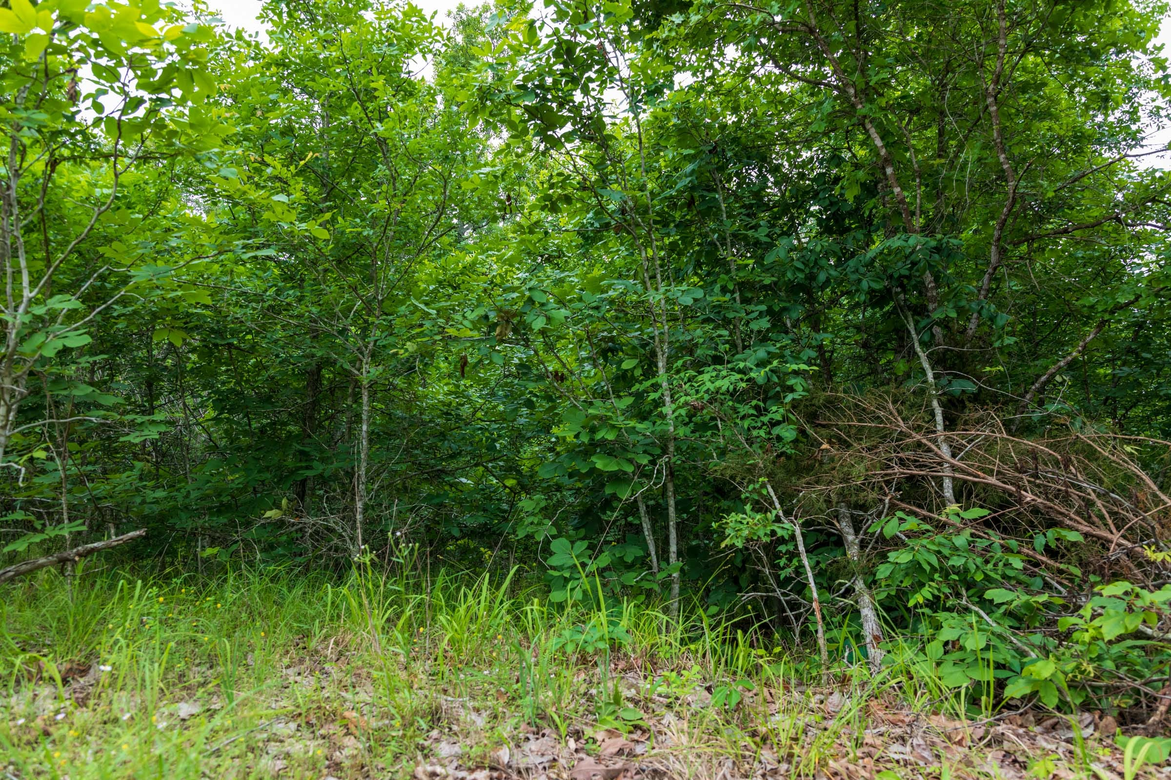 Tract 8 at Falcon Crest in Pushmataha County, Oklahoma