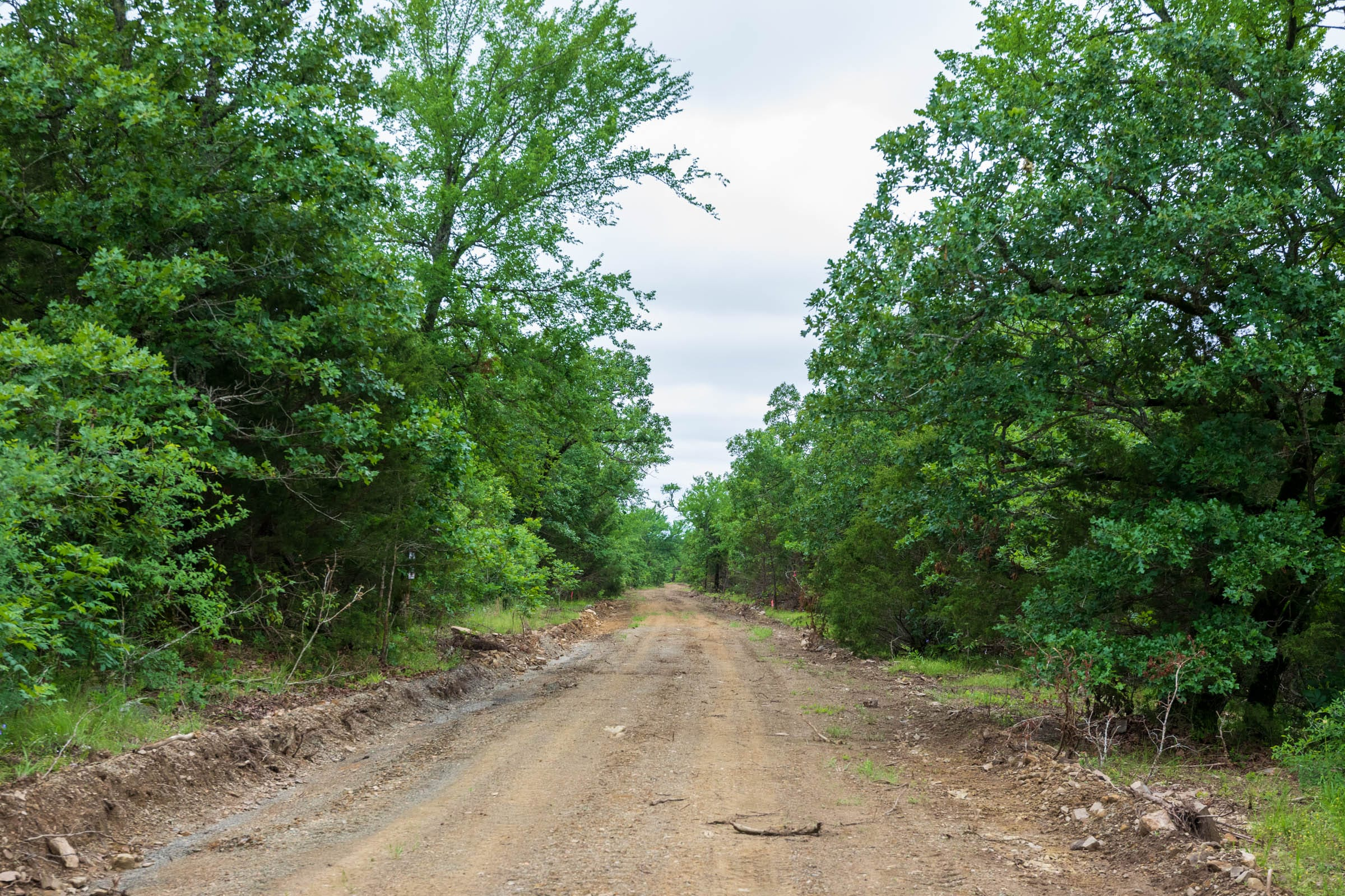 FLC-T8 tract image